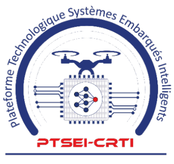 Logo PTSEI